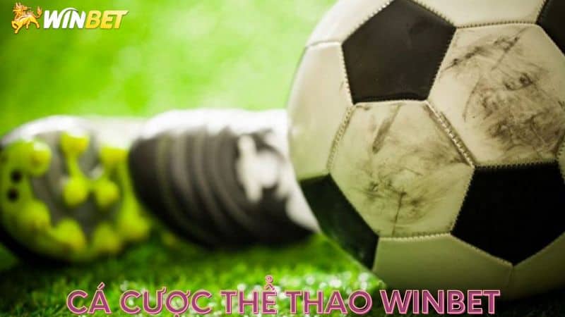 ca-cuoc-the-thao-winbet